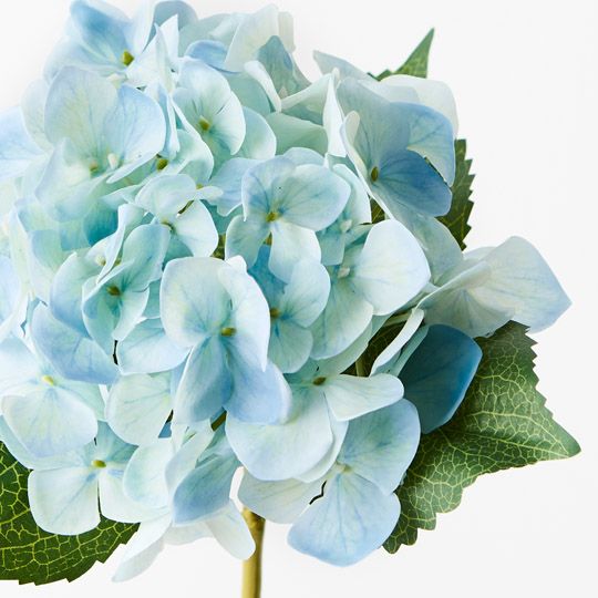 12 x Hydrangea Light Blue 63cml (FI9550LB)