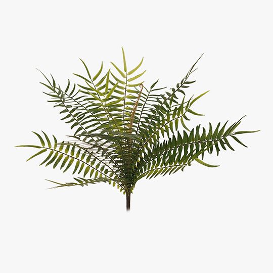 12 x Fern Sword Bush Green 33cml (FI7060GR)