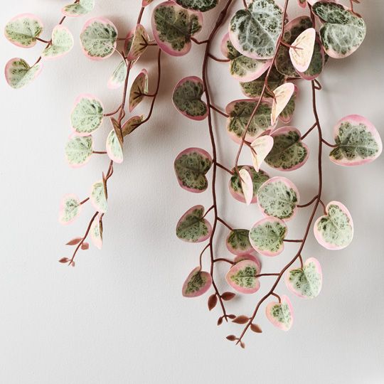 6 x String of Hearts in Pot, Pink Green 48cml (FI9572PG)