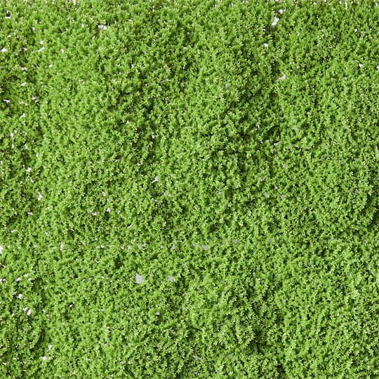 2 x Moss Vertical Garden (UV) Green 100cml x 100cmw (FI9624GR)