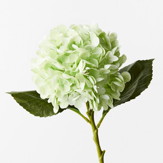 12 x Hydrangea Light Green 49cml (FI9665LG)