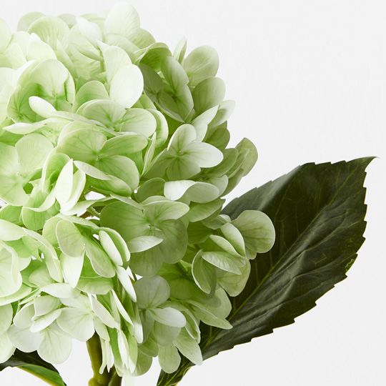 12 x Hydrangea Light Green 49cml (FI9665LG)