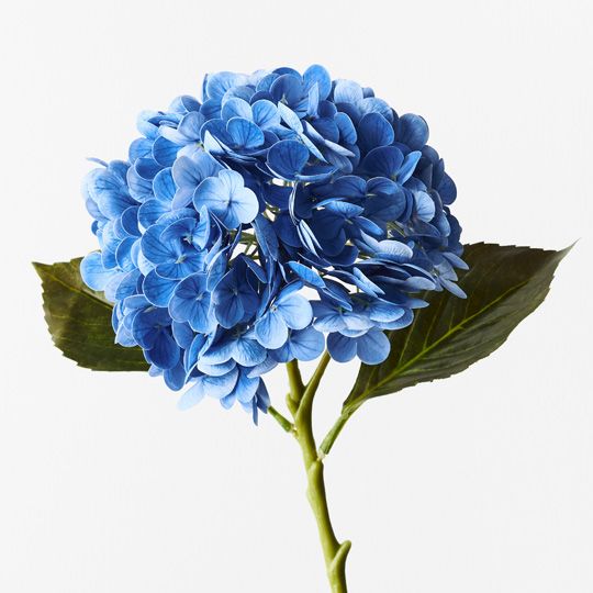 12 x Hydrangea Blue 49cml (FI9665BL)