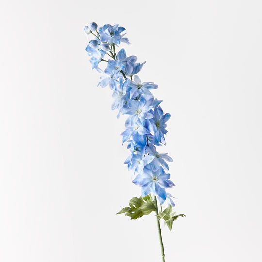 12 x Delphinium Blue 90cml (FI9673BL)