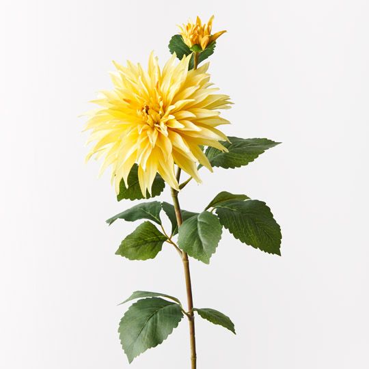 12 x Dahlia Spray Yellow 74cml x 20cmd (FI9724YE)