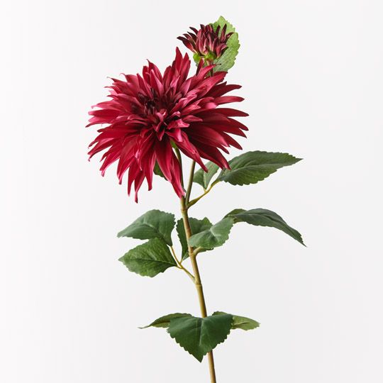 12 x Dahlia Spray Fuschia 74cml x 20cmd (FI9724FU)