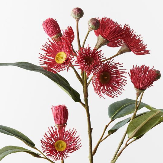 12 x Eucalyptus Flowering Spray Red 76cml (FI9746RD)