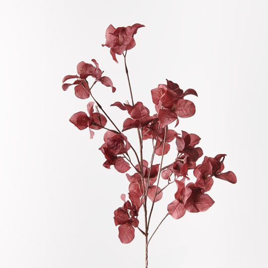 12 x Bougainvillea Spray Burgundy 86cml (FI9381BU)