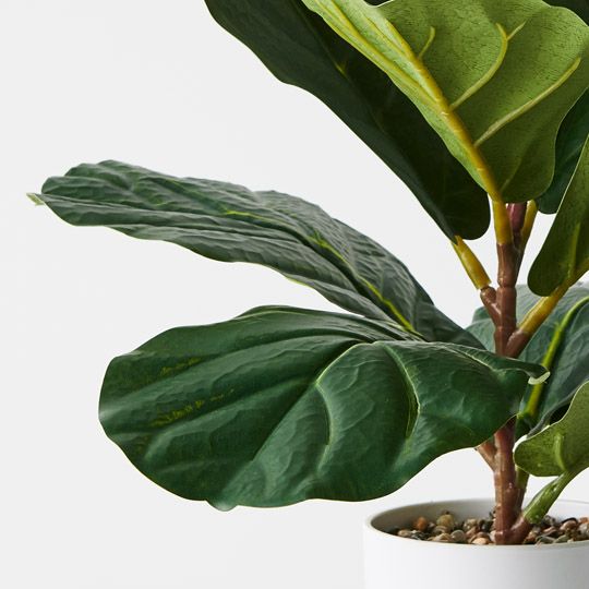 4 x Fiddle Leaf Plant, Green 33cmh (FI9763GR)