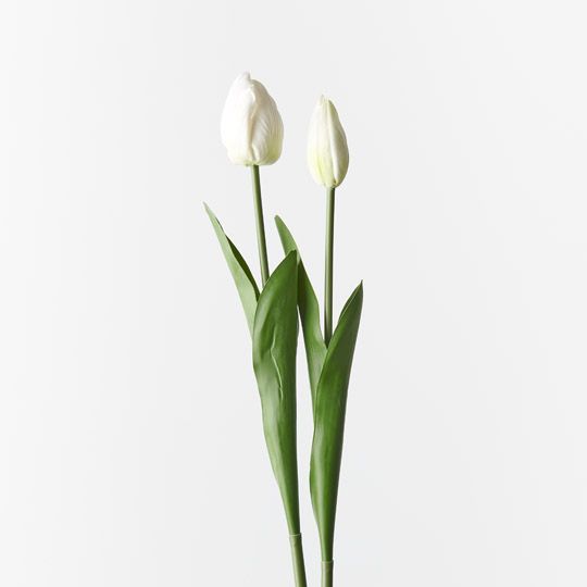 12 x Tulip Bud & Bloom (set/2) White 49cml (FI9824WH)