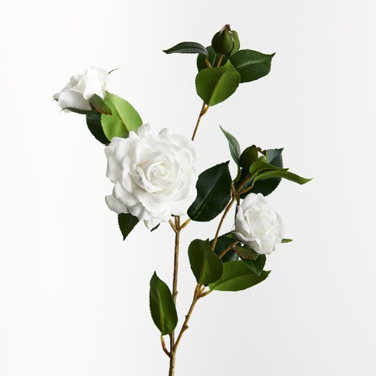 12 x Camellia Spray Winter White 73cml (FI9952WW)