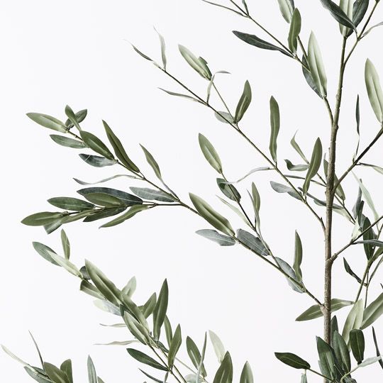 2 x Olive Leaf Branch Green 180cml (FI9955GR)