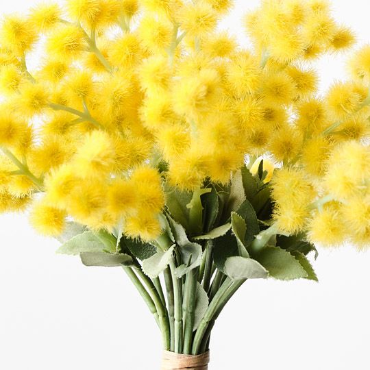 12 x Wattle Bouquet Yellow 27cml (FI9980YE)