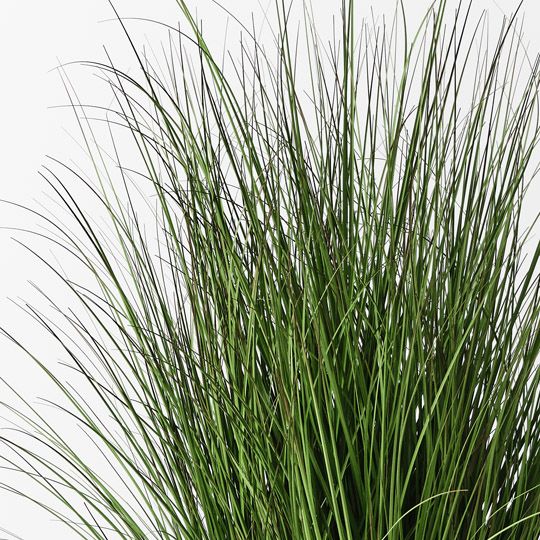 2 x Grass Plant, Green 120cmh (FI10492GR)