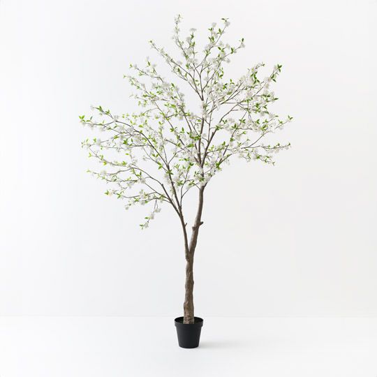 Blossom Tree, White 300cmh (FI10519WH)