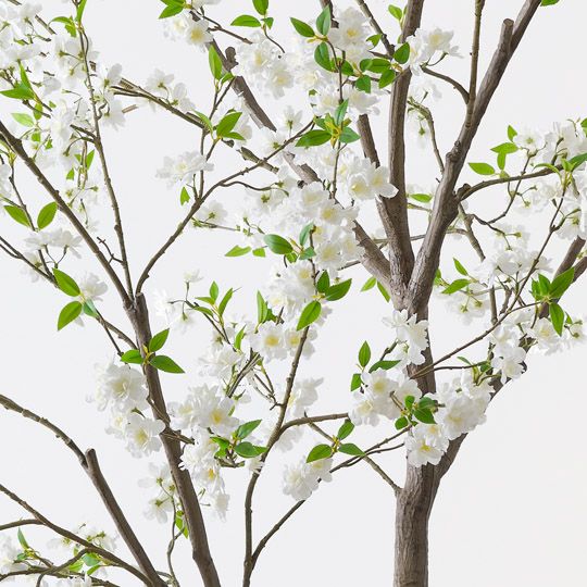 Blossom Tree, White 300cmh (FI10519WH)