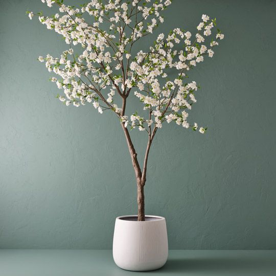 Blossom Tree, White 300cmh (FI10519WH)