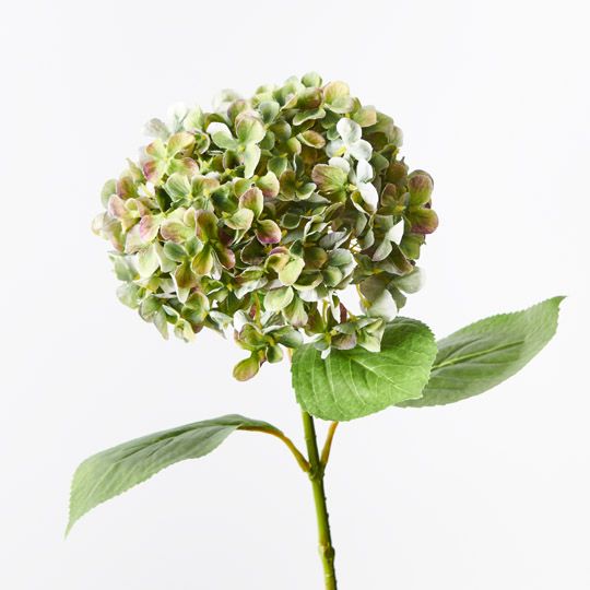 12 x Hydrangea Green Purple 68cml (FI9435GP)