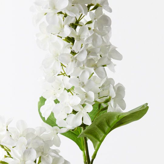 12 x Hydrangea Cone Spray White 77cml (FI10407WH)