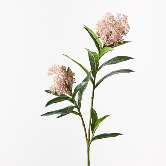 12 x Skimmia Spray Light Pink 75cml (FI9993LP)