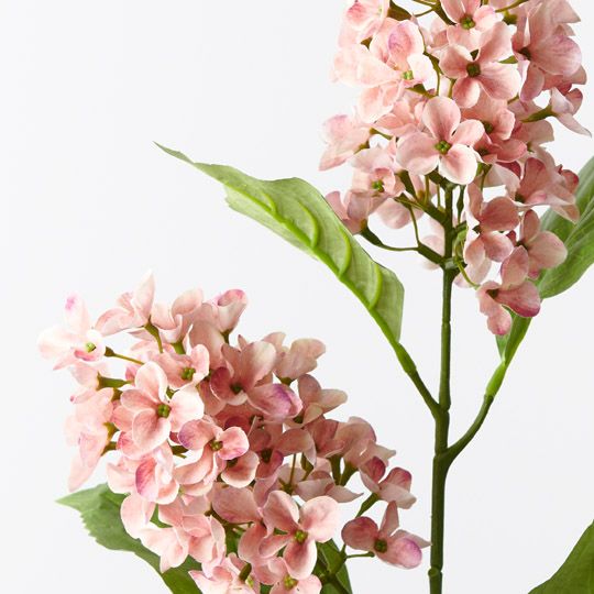 12 x Hydrangea Cone Spray Coral 77cml (FI10407CL)