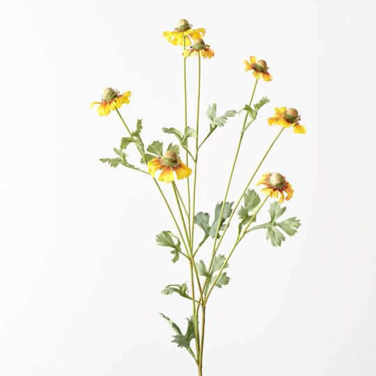 12 x Sneezeweed Spray Yellow 91cml (FI10440YE)