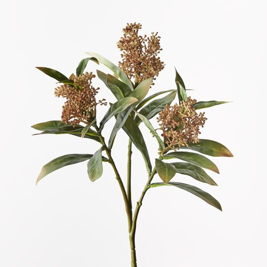 12 x Skimmia Spray Natural 46cml (FI9994NA)