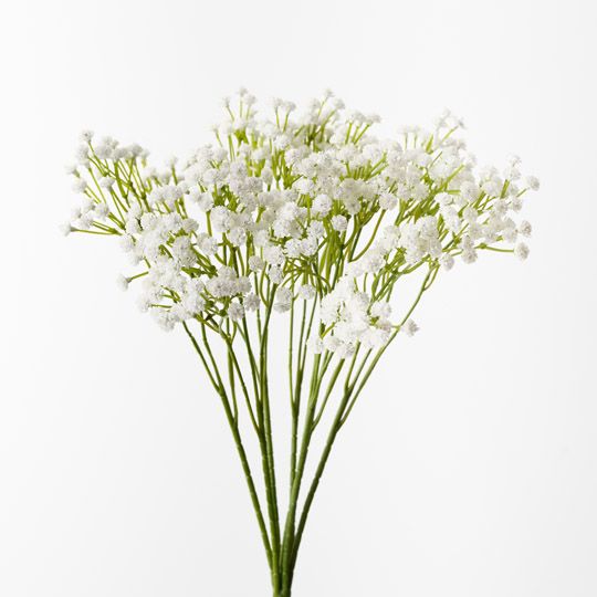 12 x Babys Breath Bush White 39cml (FI10437WH)