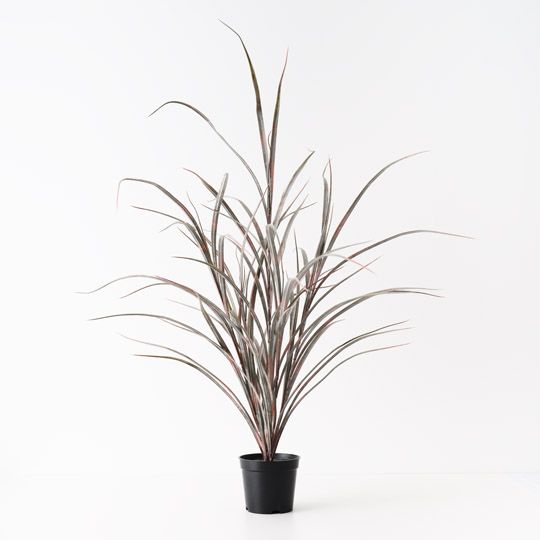 6 x Grass Plant, Burgundy Green 63cmh (FI10487BG)