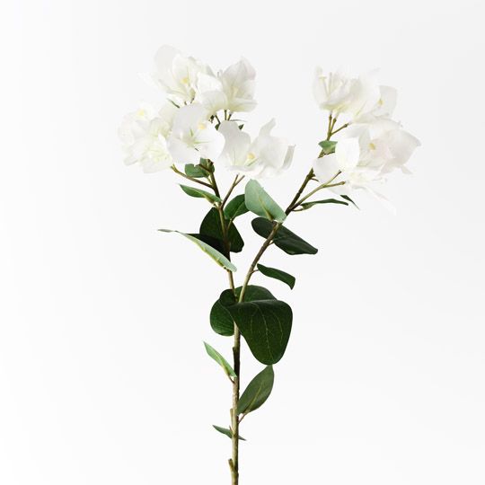 12 x Bougainvillea Spray White 84cml (FI10444WH)