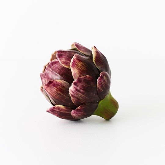 12 x Vegetable Artichoke Eggplant 11cmd (FI10554EP)