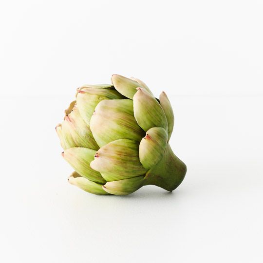 12 x Vegetable Artichoke Green 11cmd (FI10554GR)