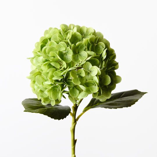 12 x Hydrangea Green 49cml (FI9665GR)