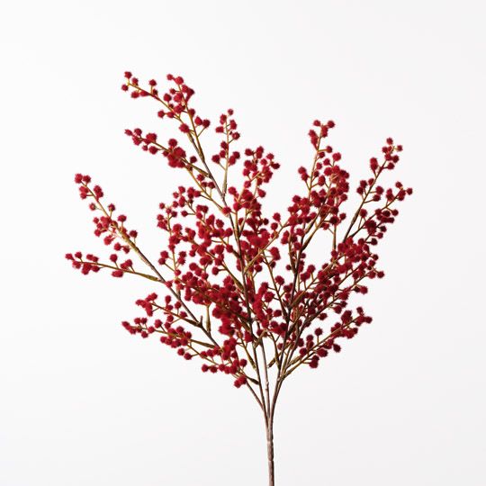 12 x Wattle Bush Red 48cml (FI9978RD)