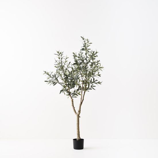 Olive Tree (w/o fruit), Grey Green 180cmh (FI10594GY)