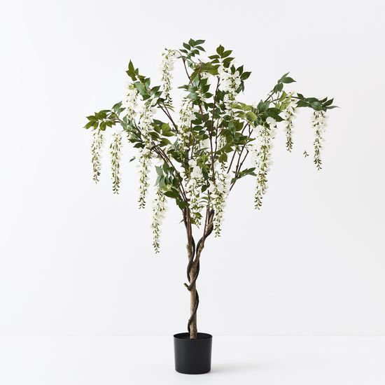 2 x Wisteria Tree, White 150cmh (FI10859WH)