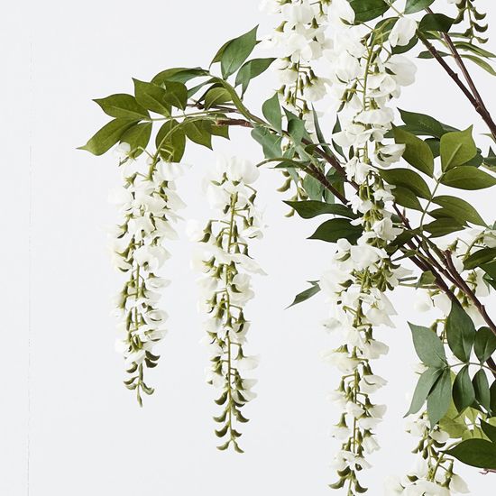 2 x Wisteria Tree, White 150cmh (FI10859WH)