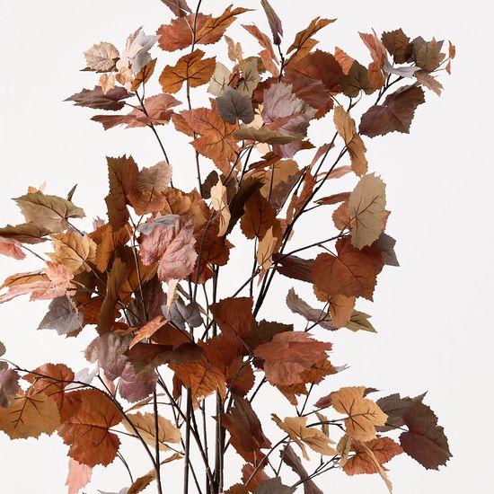 Maple Tree, Rust 155cmh