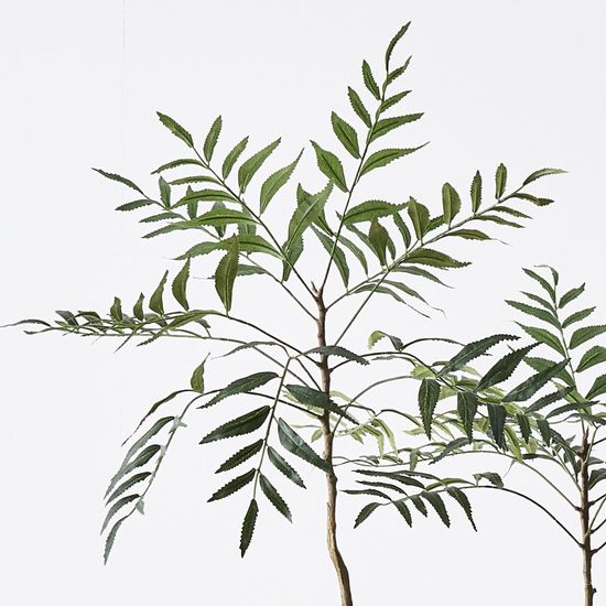 Palmera Tree, Green 180cmh (FI10862GR)