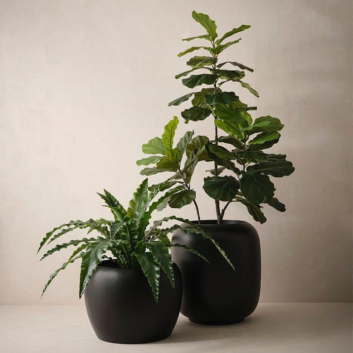 Solveig Pot - Black, 60cmh x 55cmd
