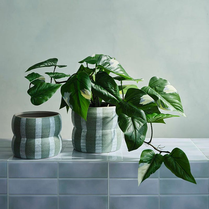 Arlo Pot - Verdant, 16cmh x 18cmd