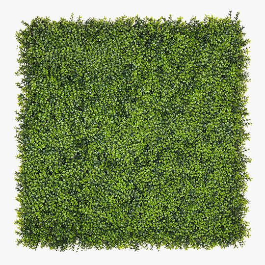 2 x Boxwood Vertical Garden (UV) Green 100cml x 100cmw (FI7645GR)