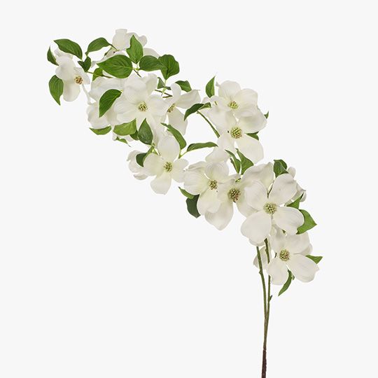 12 x Dogwood Spray White 101cml (FI7797WH)