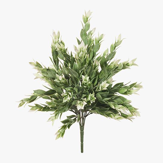 12 x Ruscus Bush Grey White 40cml (FI8003GYW)