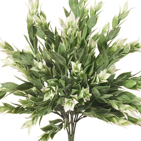 12 x Ruscus Bush Grey White 40cml (FI8003GYW)