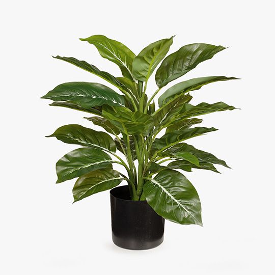 4 x Evergreen in Pot, Green 45cmh (FI8050GR)