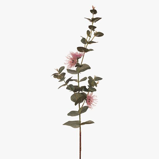 12 x Eucalyptus Flowering Dollar Pink 76cml (FI6347PK)