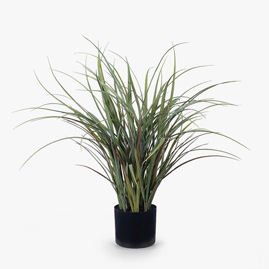 2 x Grass Plant, Grey Green 59cmh (FI8107GY)