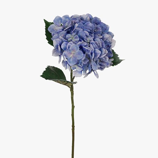 12 x Hydrangea Blue 62cml (FI8126BL)