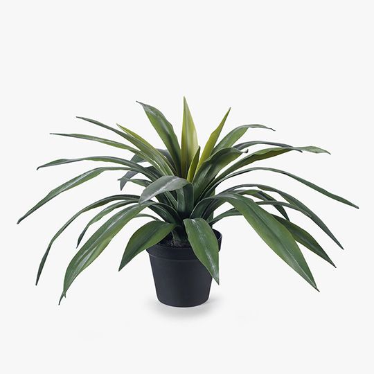 2 x Yucca Plant, Green 46cmh x 60cmd (FI8153GR)